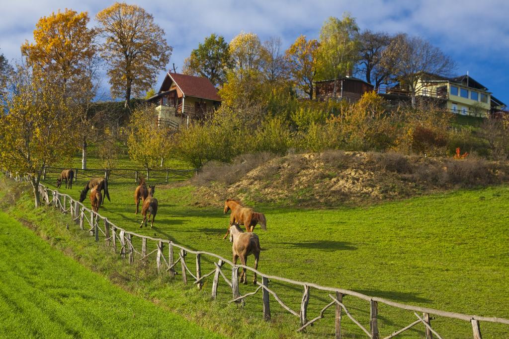 Country House Na Malenom Brijegu Bjelovar Zimmer foto